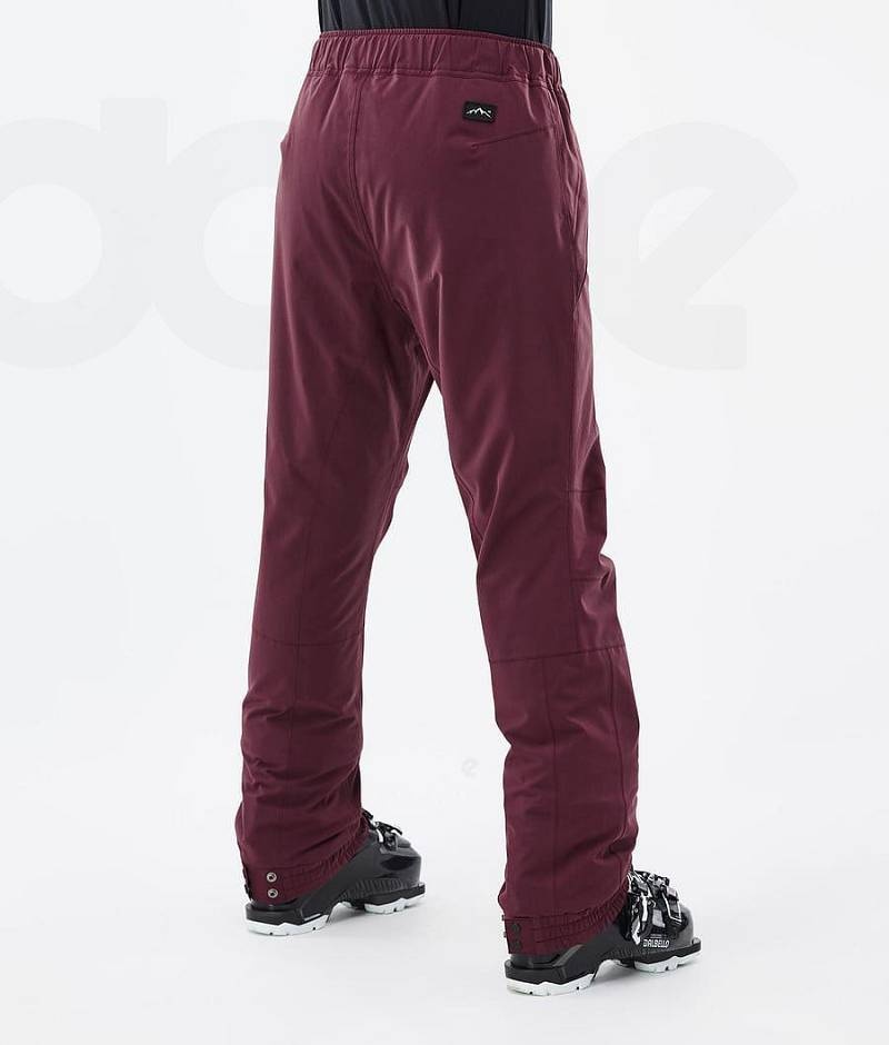 Burgundy Women's Dope Blizzard W Ski Pants | India_D2476