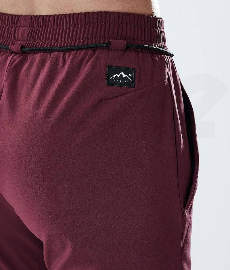 Burgundy Women's Dope Flight W Outdoor Pants | India_D2285